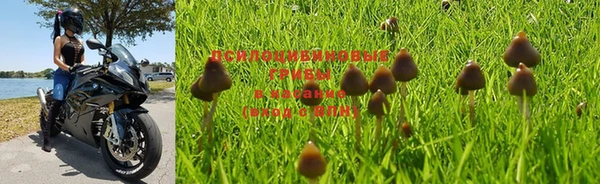 шишки Богданович